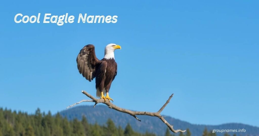 Cool Eagle Names