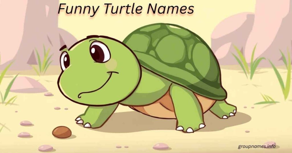 Funny Turtle Names