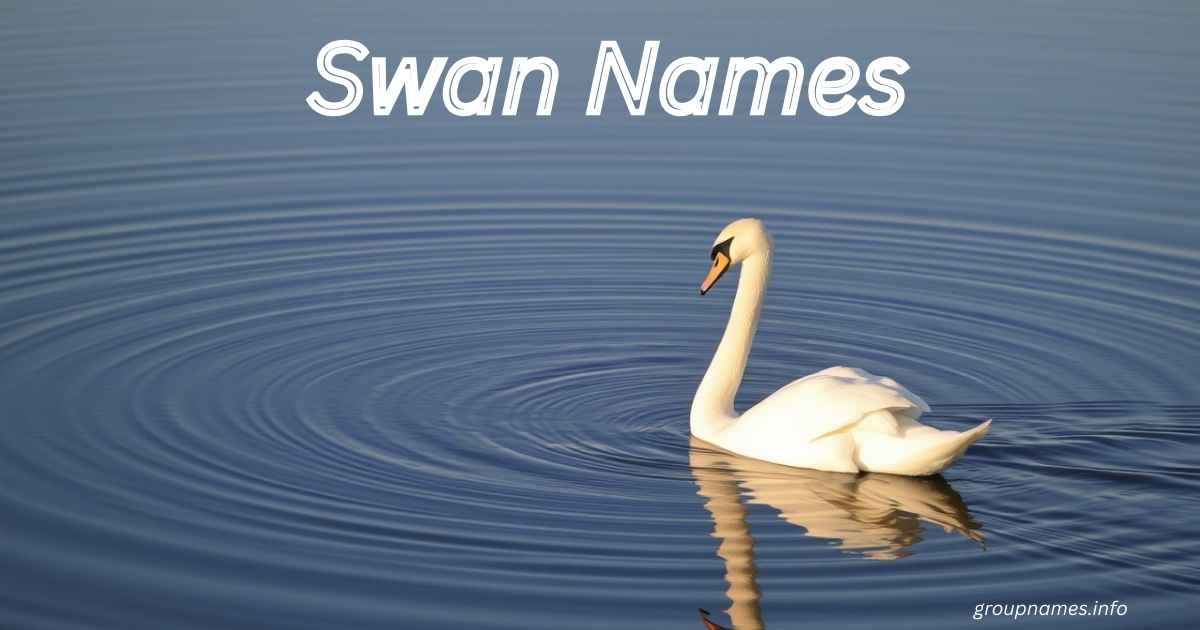 Swan Names