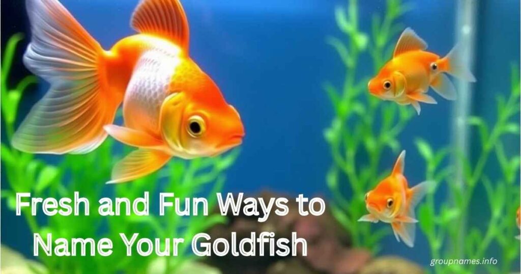 Fresh and Fun Ways to Name Your Goldfish