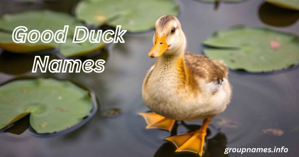 Good Duck Names