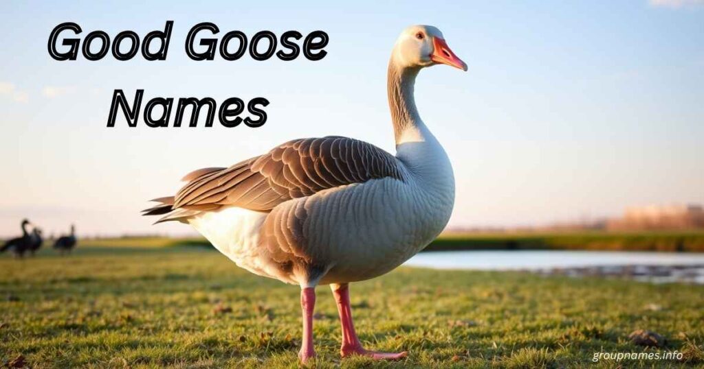 Good Goose Names