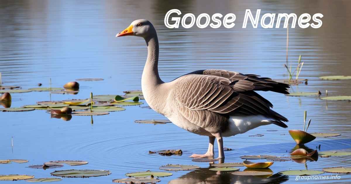 Goose Names