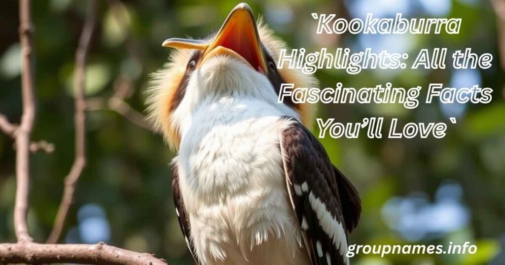 `Kookaburra Highlights: All the Fascinating Facts You’ll Love`