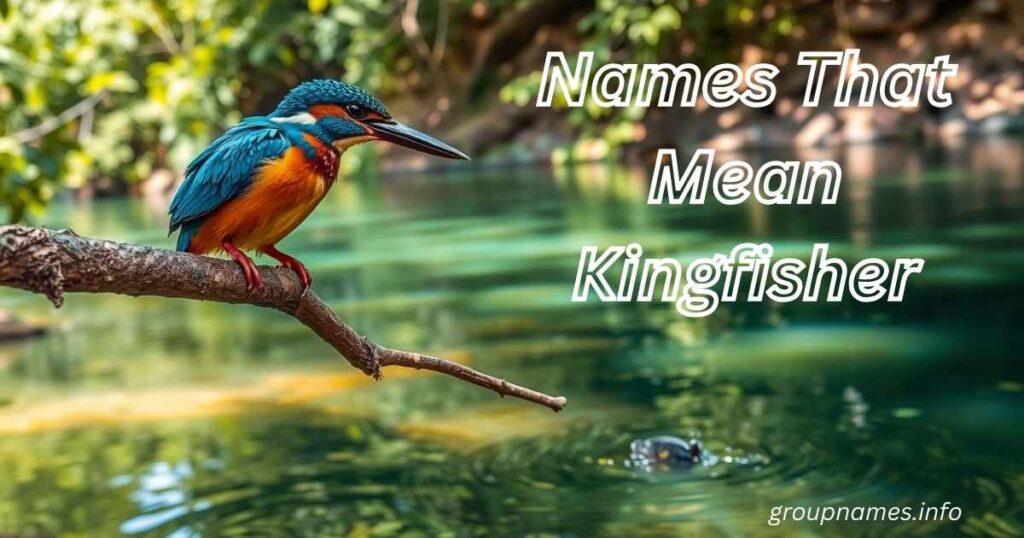 Names That Mean Kingfisher