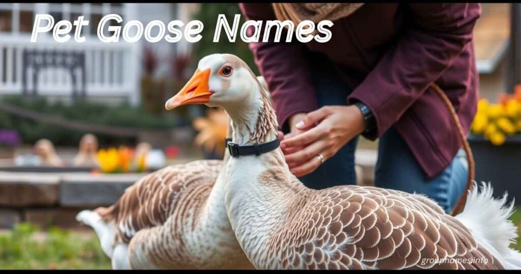 Pet Goose Names