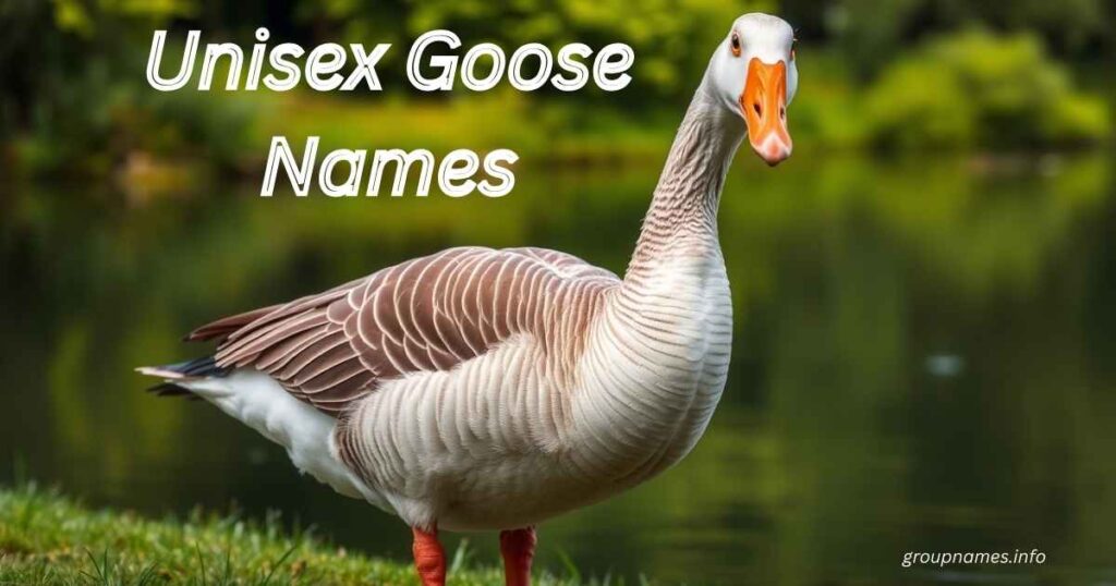 Unisex Goose Names