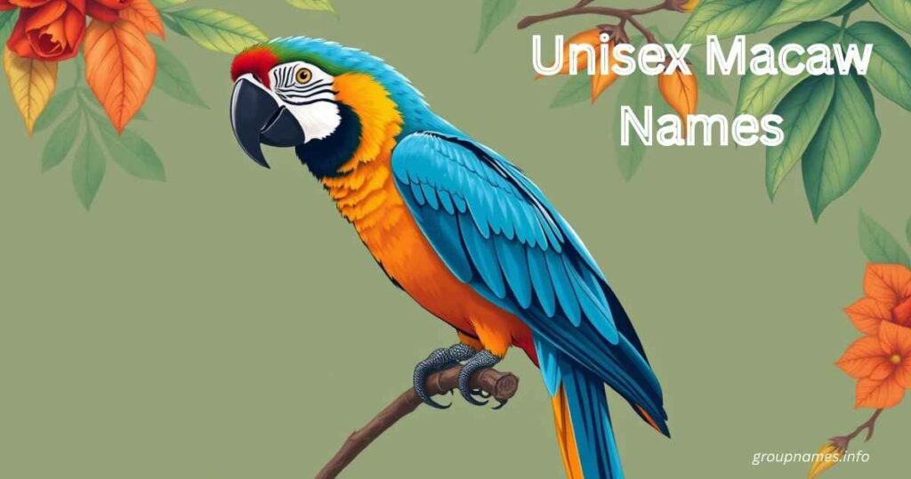 Unisex Macaw Names
