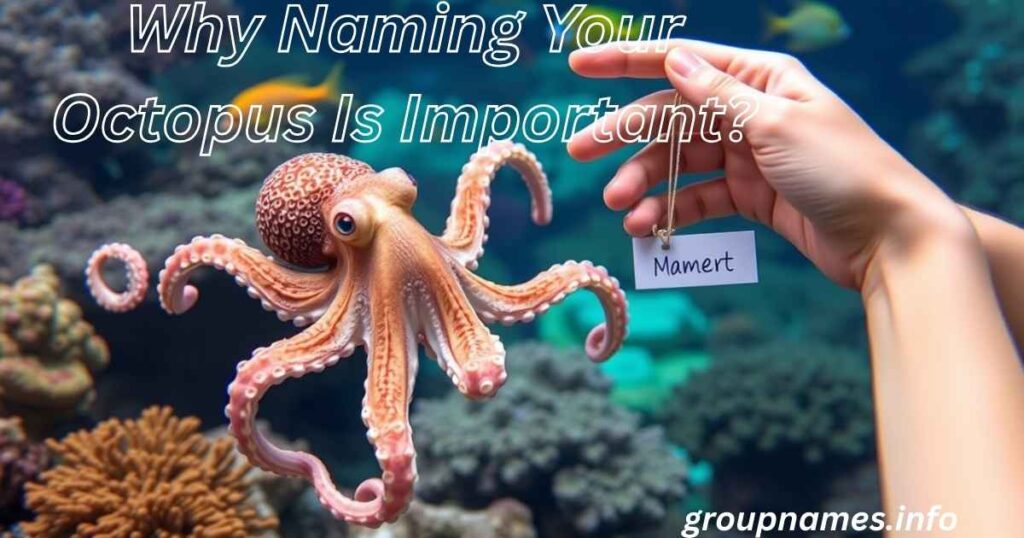 Why Naming Your Octopus Is Important?