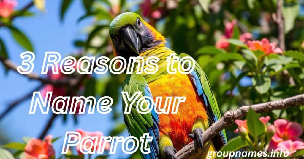 3 Reasons to Name Your Parrot