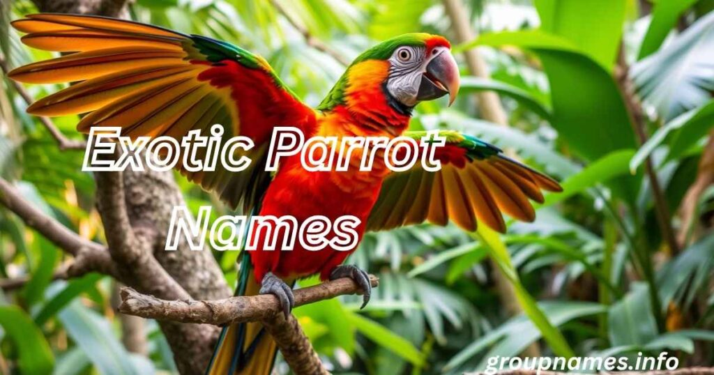 Exotic Parrot Names