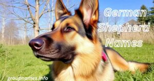 German Shepherd Names