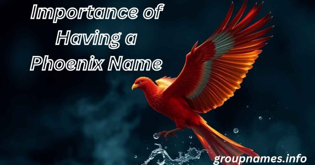 Importance of Having a Phoenix Name