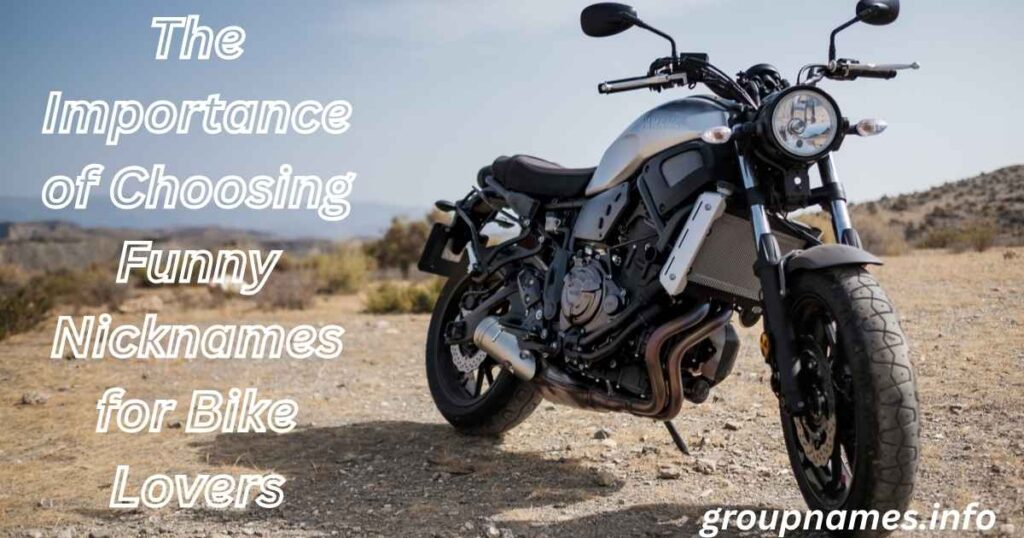 The Importance of Choosing Funny Nicknames for Bike Lovers