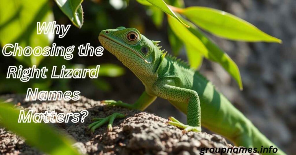 Why Choosing the Right Lizard Names Matters?
